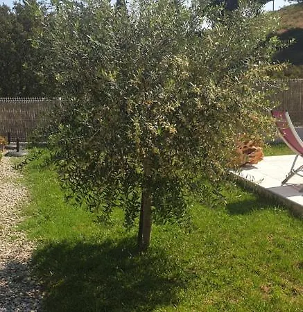 Bed & Breakfast D'hotes Mantei Castirla